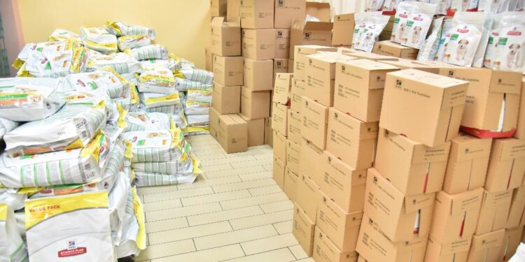 #AnimalSolidarityGR του Υπουργείου Εσωτερικών για τα αδέσποτα: Συγκεντρώθηκαν ήδη περισσότεροι από 52 τόνοι τροφής