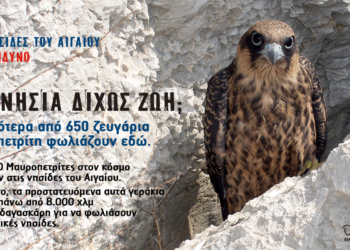 Αρνητική η γνωμοδότηση της αρμόδιας Διεύθυνσης του Υπουργείου Περιβάλλοντος για την εγκατάσταση ανεμογεννητριών στις 14 νησίδες του Νότιου Αιγαίου!