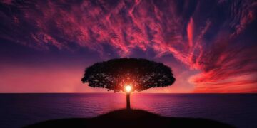 Δήλωση του Τομεάρχη Περιβάλλοντος και Ενέργειας του ΣΥΡΙΖΑ για την Παγκόσμια Ημέρα Περιβάλλοντος