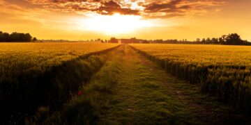 Κ.Αρσένης: “Θέλετε πραγματικά να πατάξετε τις ελληνοποιήσεις προϊόντων ή να τις χαϊδέψετε;  Γιατί δεν απαιτείτε πολιτική λύση για τη διάσωση των συνεταιρισμών;”