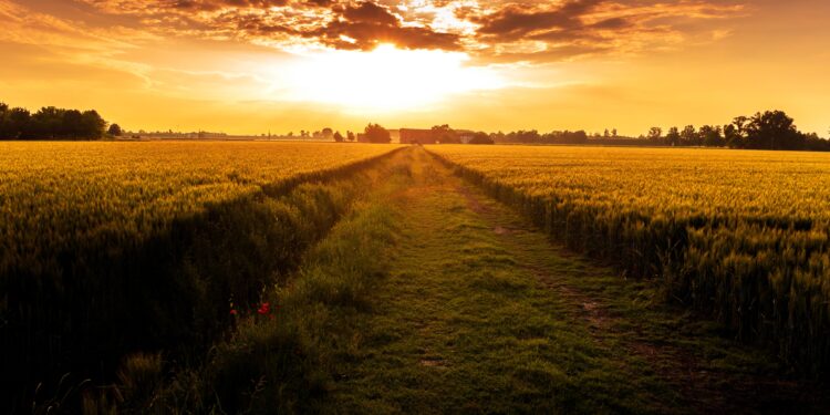 Κ.Αρσένης: “Θέλετε πραγματικά να πατάξετε τις ελληνοποιήσεις προϊόντων ή να τις χαϊδέψετε;  Γιατί δεν απαιτείτε πολιτική λύση για τη διάσωση των συνεταιρισμών;”