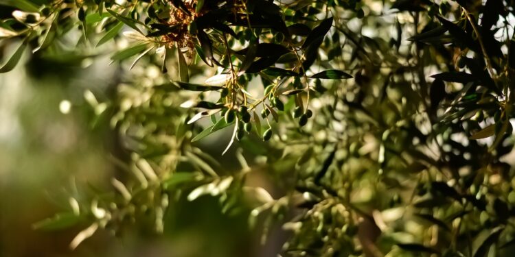 Δήλωση Αραχωβίτη για το νομοσχέδιο του ΥΠΑΑΤ