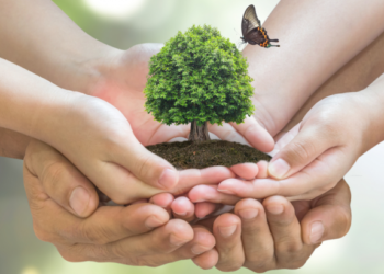 Μήνυμα Υφυπουργού Αγροτικής Ανάπτυξης & Τροφίμων, Φωτεινής Αραμπατζή για Παγκόσμια Ημέρα Περιβάλλοντος #WorldEnvironmentDay