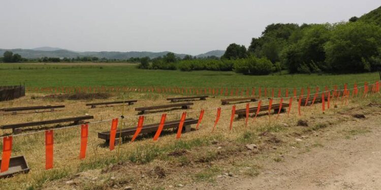 Πιλοτική Εφαρμογή «Συμπεριφορικού Φράχτη» (Fladry) Για Την Προστασία Των Κτηνοτροφικών Ζώων