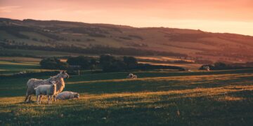 Κόκκαλης σε Βορίδη: Οι αγρότες υποφέρουν, προχωρήστε άμεσα στην αλλαγή του κανονισμού του ΕΛΓΑ