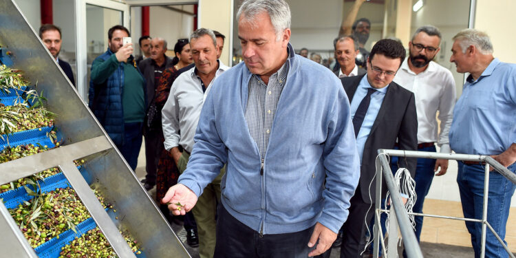 Αναγνώριση  ως Εθνικής, της Διεπαγγελματικής Οργάνωσης Επιτραπέζιας Ελιάς