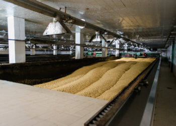 Αθηναϊκή Ζυθοποιία: Πιστή στην μακροπρόθεσμη δέσμευση της στο Πρόγραμμα Συμβολαιακής Καλλιέργειας Κριθαριού