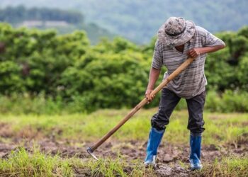 Κινητοποιήσεις την Τετάρτη από Ομοσπονδίες, Αγροτικούς και Κτηνοτροφικούς Συλλόγους