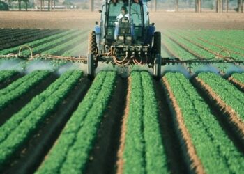 Από την Υποδιεύθυνση Οικονομικής Αστυνομίας Βορείου Ελλάδος εξαρθρώθηκε κύκλωμα που διακινούσε παράνομα φυτοφάρμακα