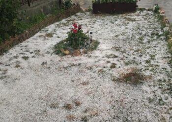 Ολική καταστροφή καλλιεργειών στη Τ.Κ. Δροσερού Εορδαίας