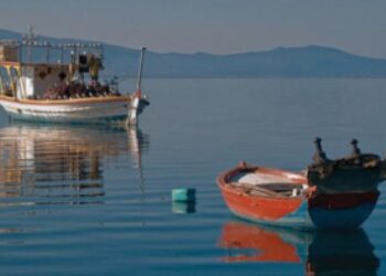 ΕΠΠΑΕ: Χρήση του ανοικτού καταπιστευτικού λογαριασμού στο ΕΠΑΛΘ