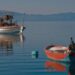 ΕΠΠΑΕ: Χρήση του ανοικτού καταπιστευτικού λογαριασμού στο ΕΠΑΛΘ