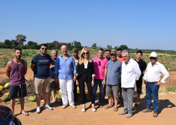 Φωτεινή Αραμπατζή: «Ιστορική ευκαιρία για τα ελληνικά τρόφιμα και αγροτικά προϊόντα  να διεισδύσουν σε νέες αγορές»