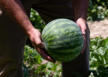 Μιχάλης Κατρίνης :  ‘’ Τώρα χρειάζονται τη στήριξη της Πολιτείας οι αγρότες.’’