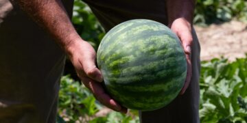 Μιχάλης Κατρίνης :  ‘’ Τώρα χρειάζονται τη στήριξη της Πολιτείας οι αγρότες.’’