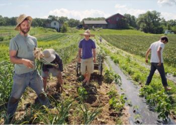 Κόκκαλης: Νομοσχέδιο χωρίς κοινωνικό πρόσημο αυτό της χορήγησης μικροχρηματοδοτήσεων