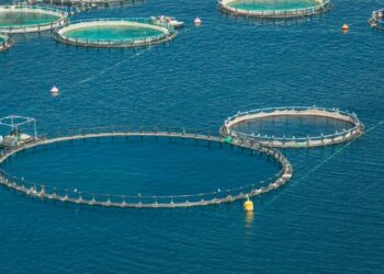 Με ταχύτητα οι χωροταξικές ρυθμίσεις για τις νέες επενδύσεις στην υδατοκαλλιέργεια