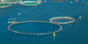 Με ταχύτητα οι χωροταξικές ρυθμίσεις για τις νέες επενδύσεις στην υδατοκαλλιέργεια