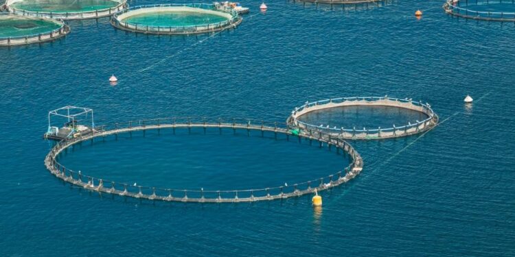 Με ταχύτητα οι χωροταξικές ρυθμίσεις για τις νέες επενδύσεις στην υδατοκαλλιέργεια