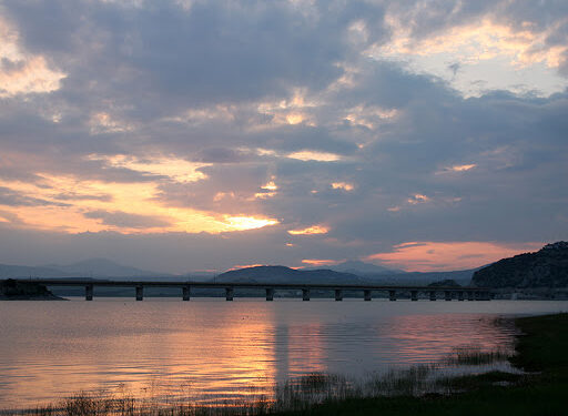 Διεξαγωγή αθλητικού αγώνα αλιείας κυπρίνου  στην τεχνητή λίμνη Πολυφύτου