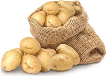 Γεωργικές προειδοποιήσεις: Πατάτα Χρυσοβίτσας