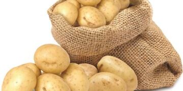 Γεωργικές προειδοποιήσεις: Πατάτα Χρυσοβίτσας