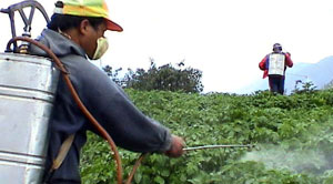 Ανανέωση των Πιστοποιητικών Γνώσεων Ορθολογικής Χρήσης Γεωργικών Φαρμάκων