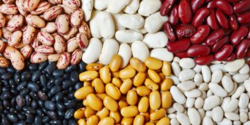 ΜέΡΑ25 Φωτεινή Μπακαδήμα: «Ανάγκη άμεσης στήριξης των παραγωγών οσπρίων στο Νομό Καστοριάς»