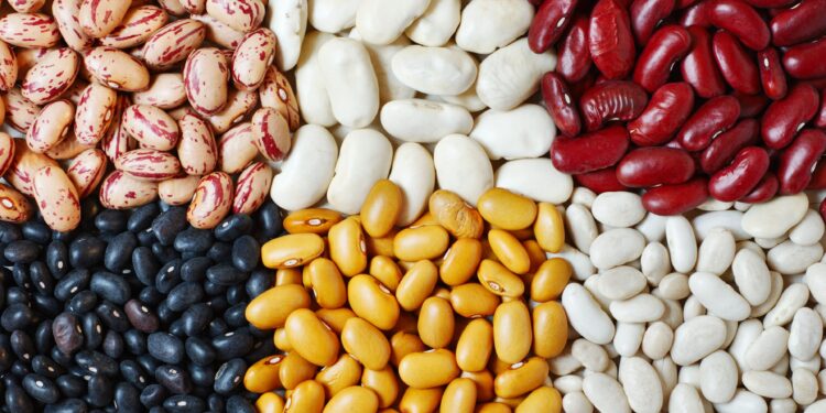 ΜέΡΑ25 Φωτεινή Μπακαδήμα: «Ανάγκη άμεσης στήριξης των παραγωγών οσπρίων στο Νομό Καστοριάς»