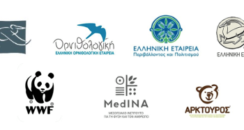 Τρεις πελεκάνοι νεκροί μετά από πρόσκρουση σε ανεμογεννήτριες στον Βαρνούντα