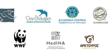 Τρεις πελεκάνοι νεκροί μετά από πρόσκρουση σε ανεμογεννήτριες στον Βαρνούντα