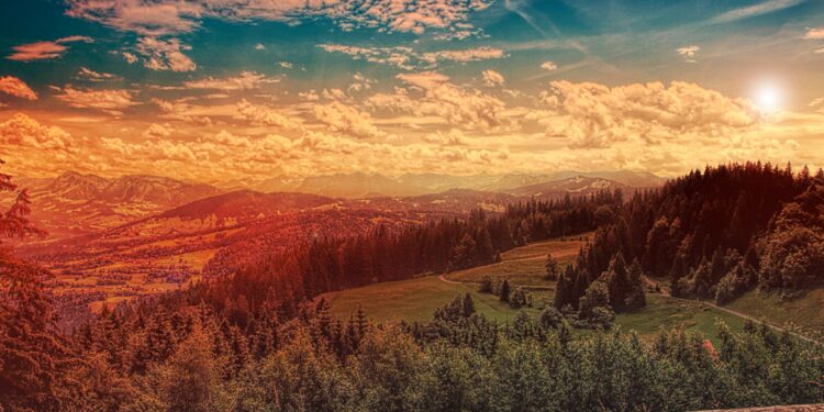 Σ. Φάμελλος : Η κυβέρνηση ΝΔ συνεχίζει το δασικό έγκλημα