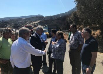 Αυτοψία του ΥπΑΑΤ, Μ. Βορίδη στις πληγείσες από την πυρκαγιά  περιοχές του Δήμου Ανατ. Μάνης