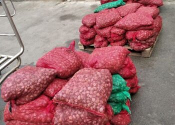 Συλλήψεις για παράνομη μεταφορά οστράκων υπολειπομένων διαστάσεων και ακατάλληλων για ανθρώπινη κατανάλωση στην Καβάλα