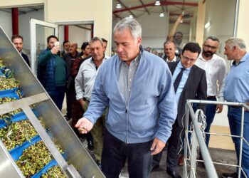 Βορίδης: Στήριξη του ελληνικού ελαιολάδου με 126 εκατ. ευρώ