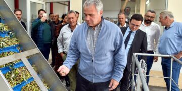 Βορίδης: Στήριξη του ελληνικού ελαιολάδου με 126 εκατ. ευρώ