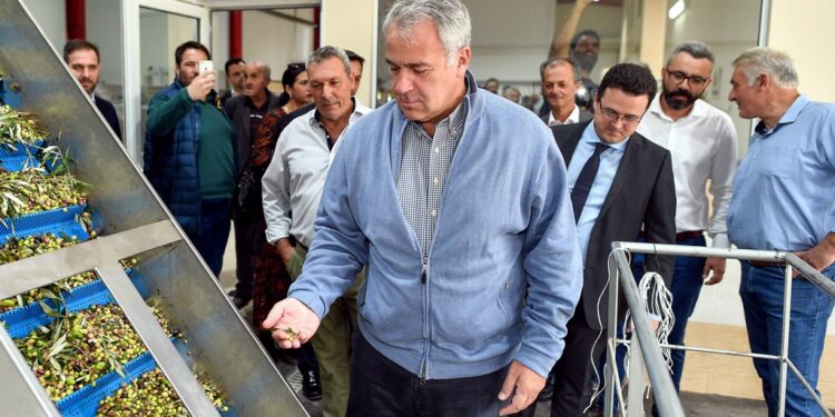 Βορίδης: Στήριξη του ελληνικού ελαιολάδου με 126 εκατ. ευρώ
