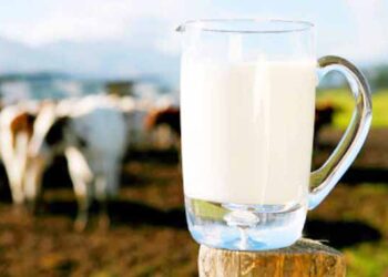 Ερώτηση για την απαράδεκτη ανοικτή τιμή στις αγοραπωλησίες του γάλακτος κατέθεσε η Ολυμπία Τελιγιορίδου