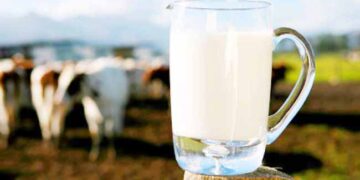 Ερώτηση για την απαράδεκτη ανοικτή τιμή στις αγοραπωλησίες του γάλακτος κατέθεσε η Ολυμπία Τελιγιορίδου