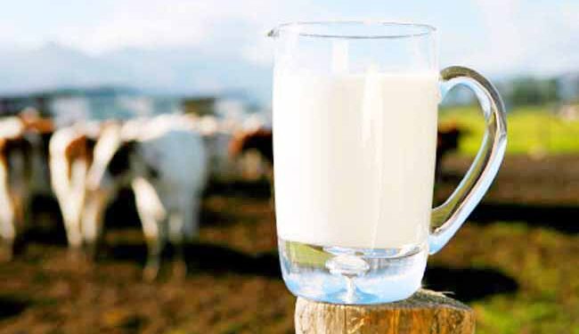 Ερώτηση για την απαράδεκτη ανοικτή τιμή στις αγοραπωλησίες του γάλακτος κατέθεσε η Ολυμπία Τελιγιορίδου