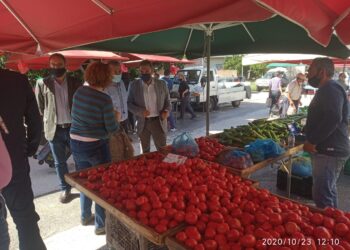 Στ. Αραχωβίτης από το Ηράκλειο: “Σε διαφορετική γραμμή το Υπουργείο, ευρωβουλευτές της ΝΔ και ΕΛΚ για την ΚΑΠ ”