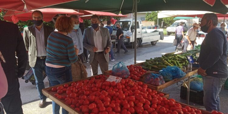 Στ. Αραχωβίτης από το Ηράκλειο: “Σε διαφορετική γραμμή το Υπουργείο, ευρωβουλευτές της ΝΔ και ΕΛΚ για την ΚΑΠ ”