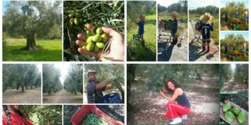 Όταν οι Ελληνίδες αγρότισσες τολμούν κι επιχειρούν