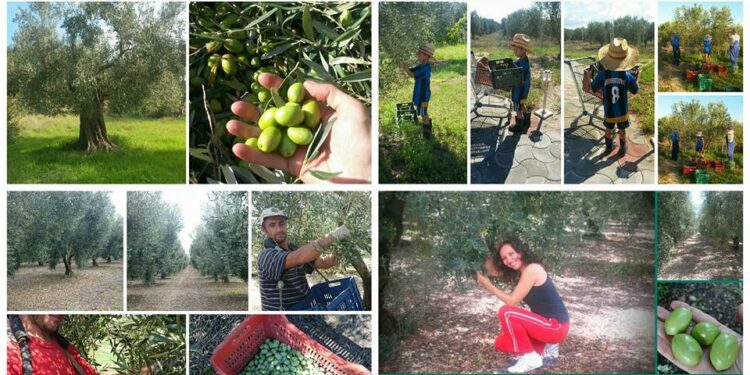 Όταν οι Ελληνίδες αγρότισσες τολμούν κι επιχειρούν