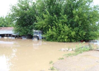 Κ.Αρσένης: “H κυβέρνηση συνεχίζει να μην αποζημιώνει επαρκώς τους καλλιεργητές και κτηνοτρόφους της Καρδίτσας “