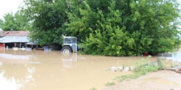 Κ.Αρσένης: “H κυβέρνηση συνεχίζει να μην αποζημιώνει επαρκώς τους καλλιεργητές και κτηνοτρόφους της Καρδίτσας “