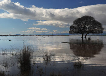 Φάμελλος: : «Απτή απόδειξη της ανικανότητας της κυβέρνησης η διαχείριση της λίμνης Κορώνειας»