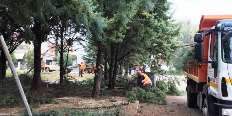 Ξεκίνημα για τον «Θεσμό της Γειτονιάς και της Κοινότητας»