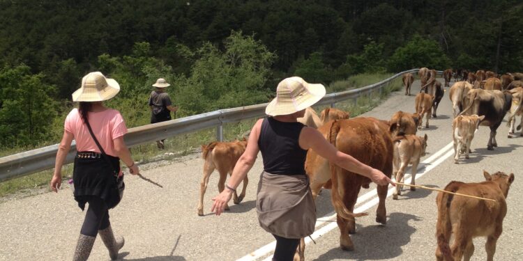 Καλλιόπη Σεμερτζίδου: 15 Οκτωβρίου η Παγκόσμια Ημέρα της Γυναίκας Αγρότισσας