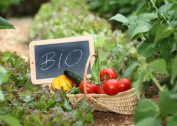 ΟΠΕΚΕΠΕ: Ανακοίνωση σχετικά με τις πληρωμές του Μ11«Βιολογικές καλλιέργειες»